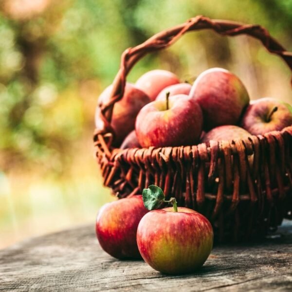 Apple (Each)