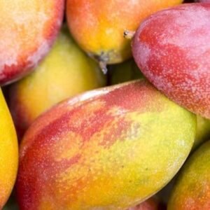 Mango (each)